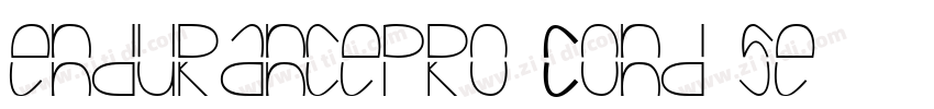 endurancepro Cond se字体转换